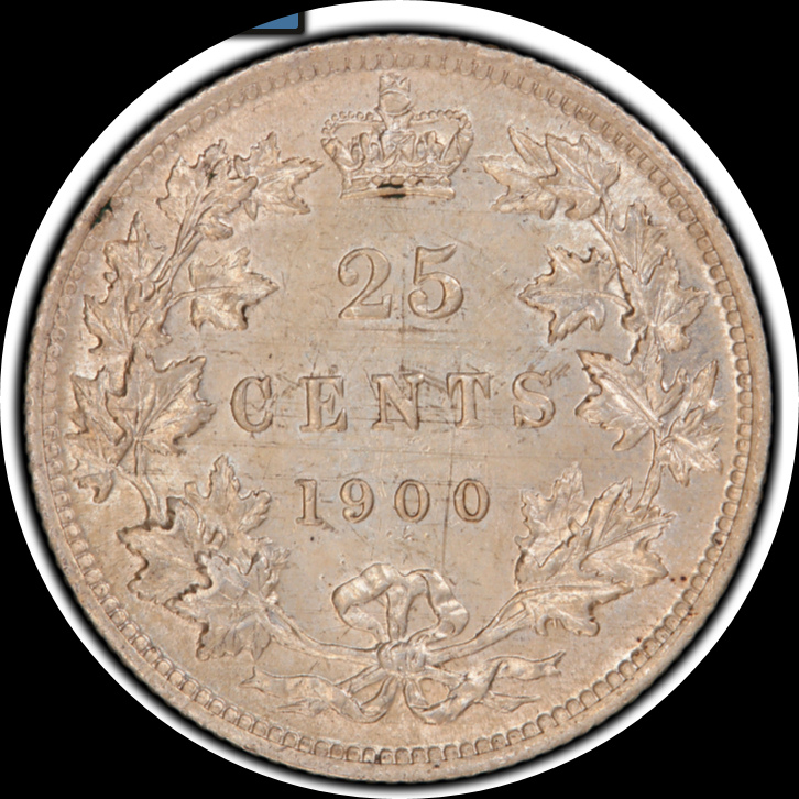 What-Is-Going-On-With-This-Vicky-25-Cent?